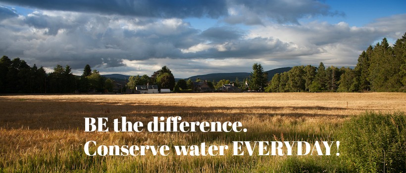 conserve water